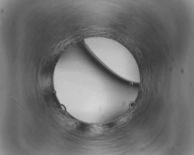 X0000062870623200601131443