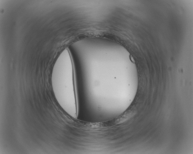 X0000062870624200601131443