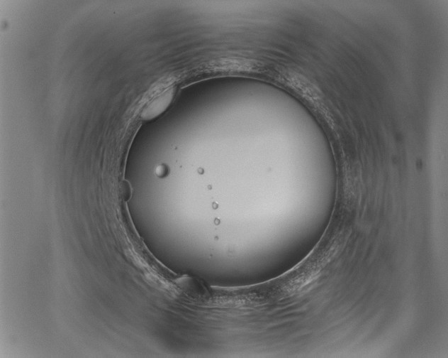 X0000062870625200601131442