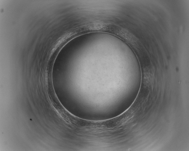 X0000062870626200601131442