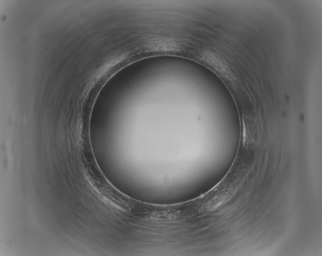 X0000062870627200601131442