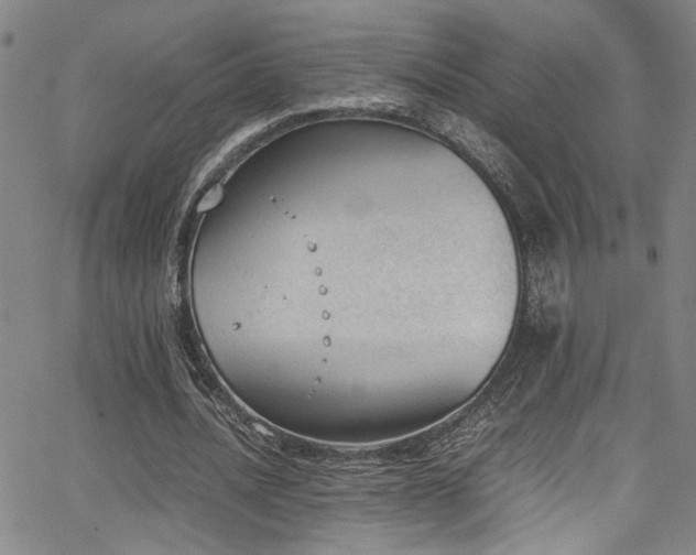 X0000062870628200601131442