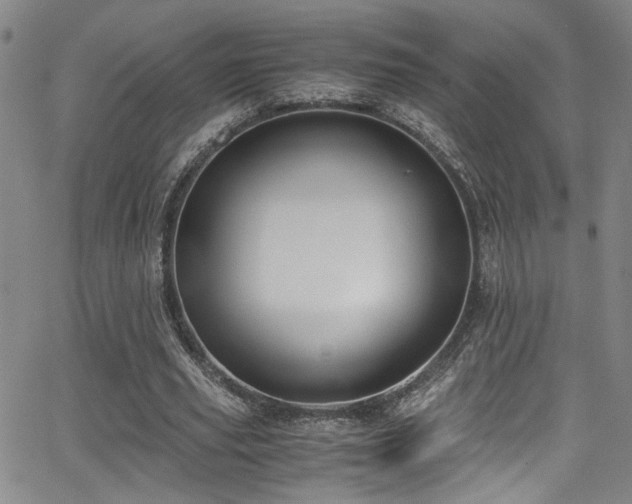 X0000062870629200601131442