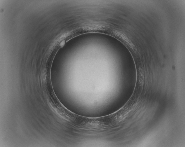 X0000062870631200601131442