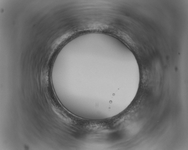 X0000062870632200601131442