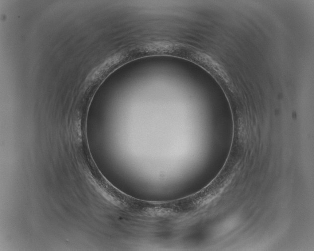 X0000062870633200601131442