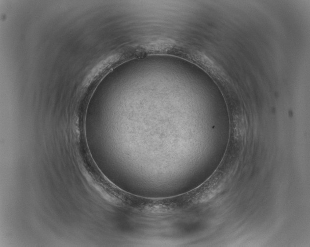 X0000062870634200601131442