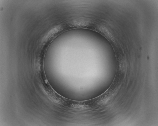 X0000062870635200601131442