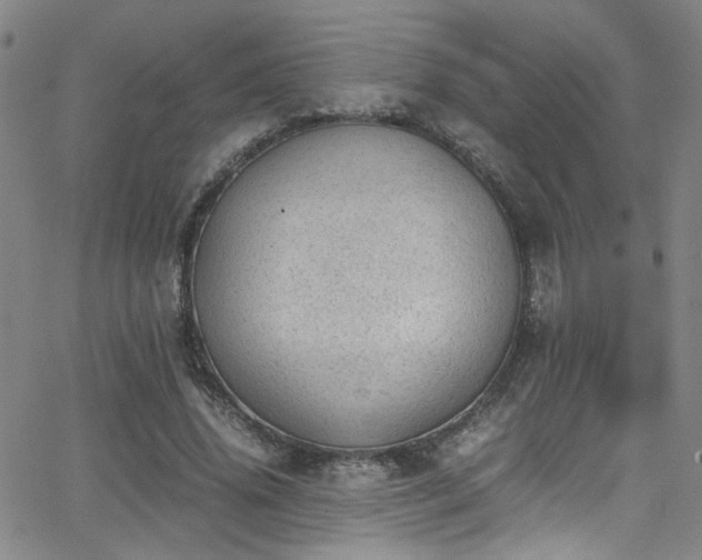 X0000062870636200601131442