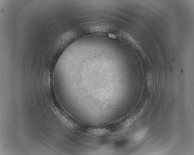 X0000062870637200601131442