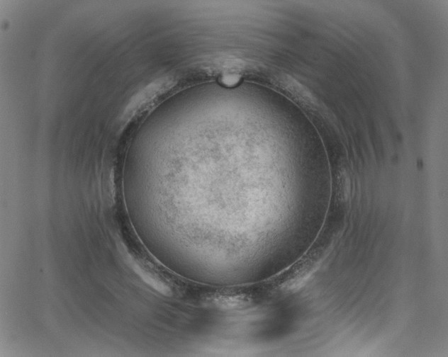 X0000062870638200601131442