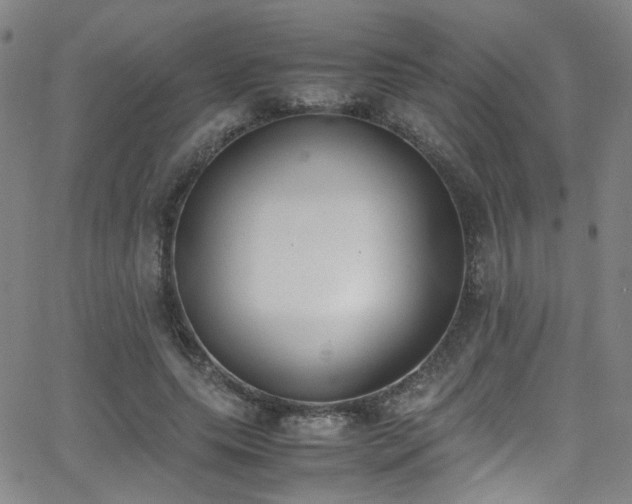 X0000062870639200601131442