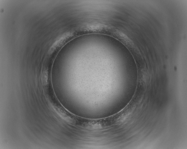 X0000062870640200601131442