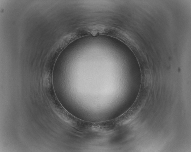 X0000062870641200601131442