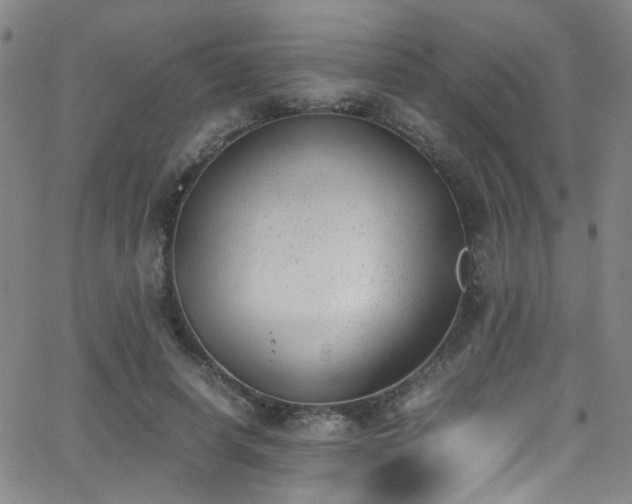 X0000062870642200601131442