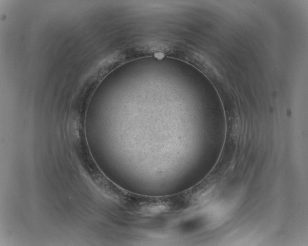 X0000062870643200601131442