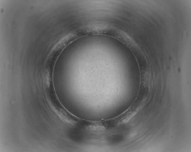 X0000062870644200601131442