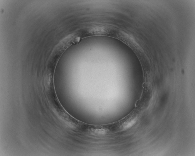 X0000062870645200601131442