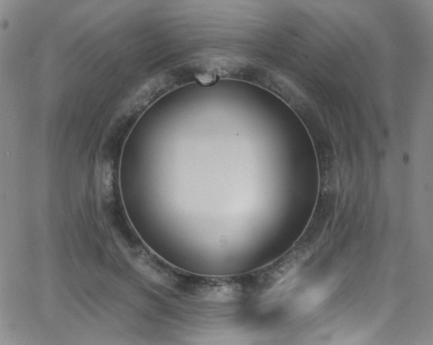 X0000062870646200601131442