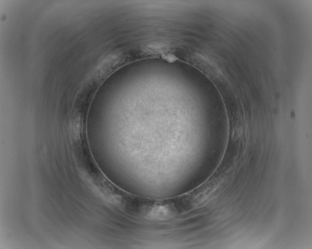 X0000062870647200601131442