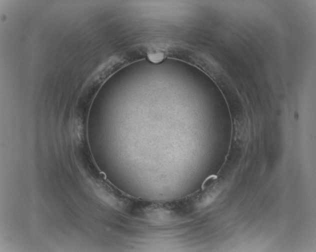 X0000062870648200601131442