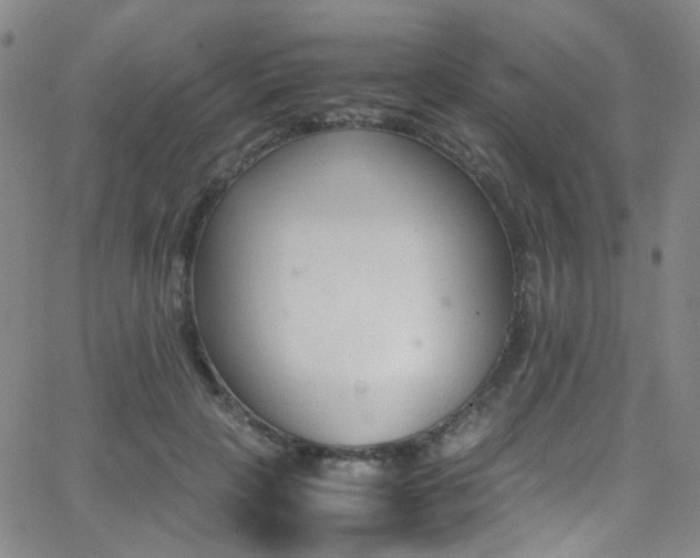 X0000062870649200601131442