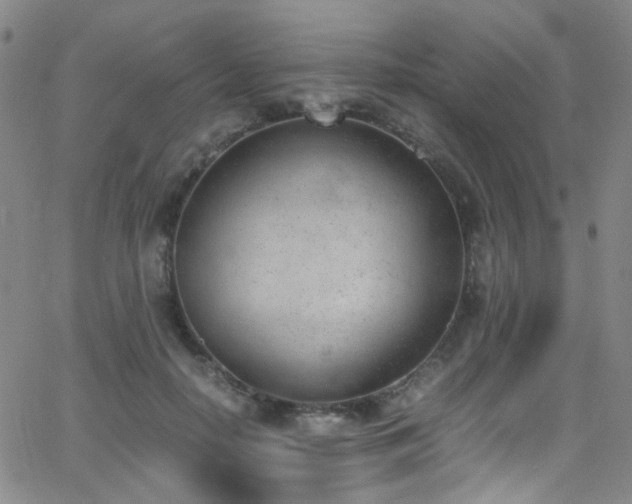 X0000062870650200601131442