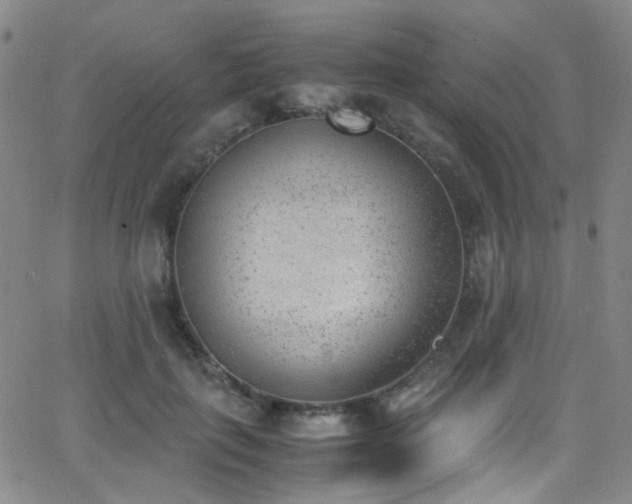 X0000062870651200601131442