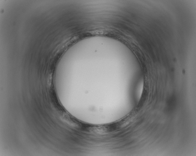 X0000062870652200601131442