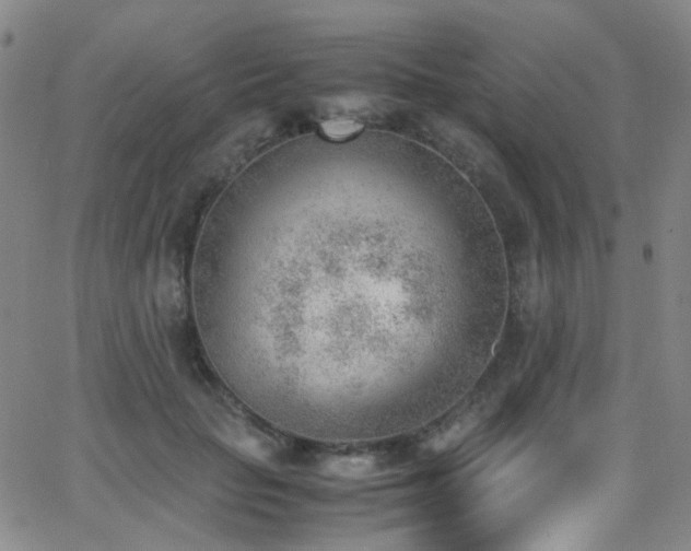 X0000062870653200601131442