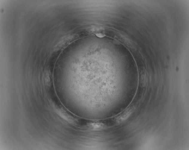 X0000062870654200601131442