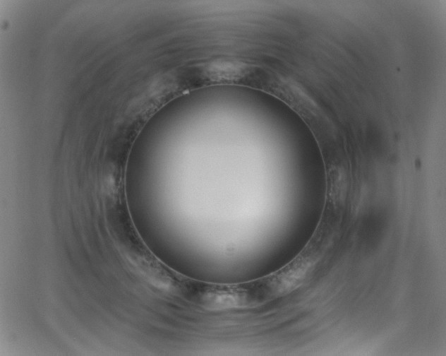 X0000062870655200601131442