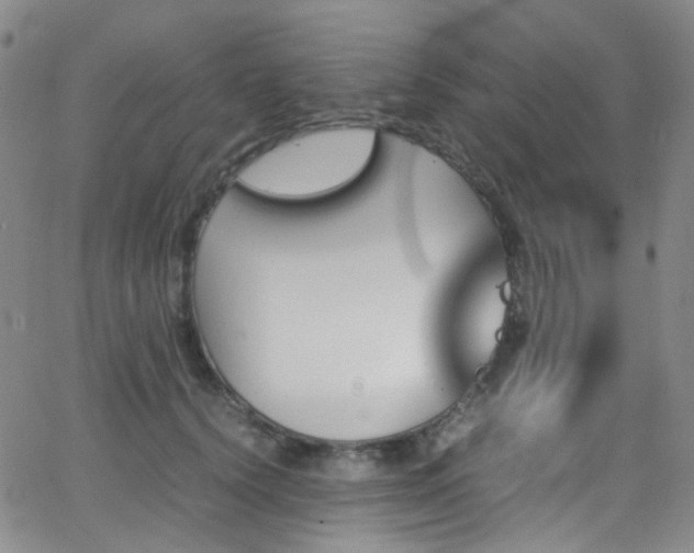 X0000062870656200601131442