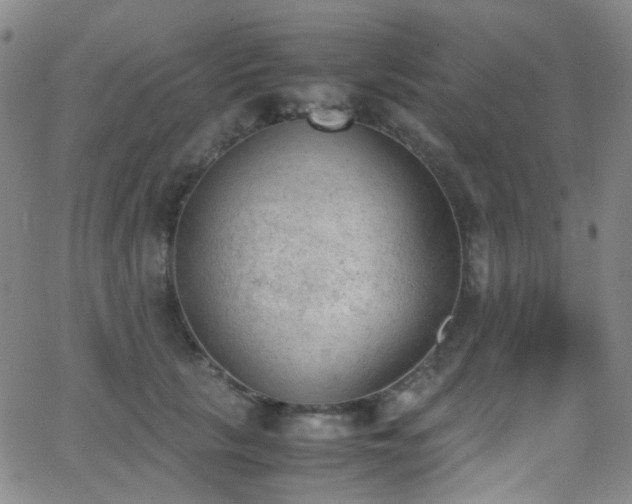 X0000062870657200601131442