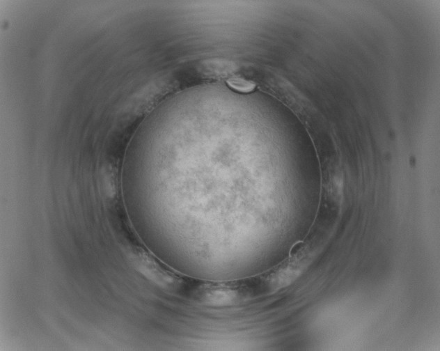 X0000062870658200601131442