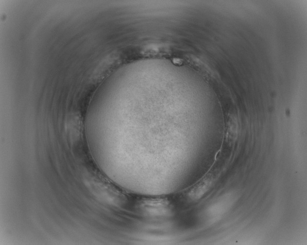 X0000062870659200601131442