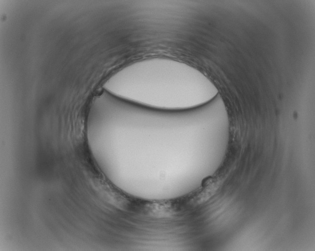 X0000062870660200601131442