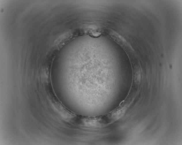 X0000062870661200601131443