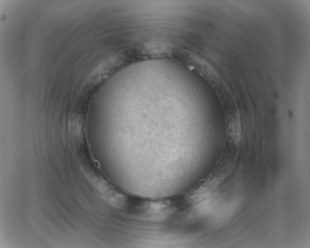 X0000062870662200601131443