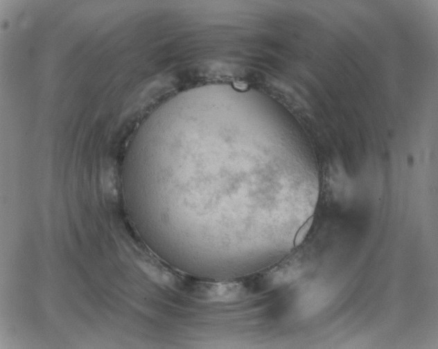 X0000062870663200601131443