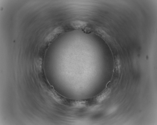 X0000062870664200601131443