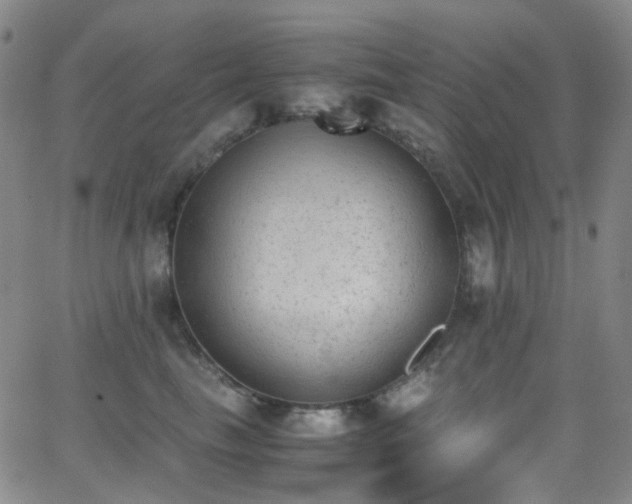 X0000062870665200601131443