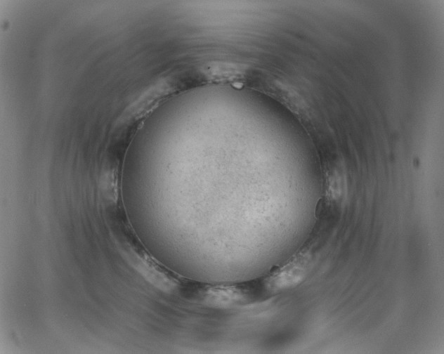 X0000062870666200601131443