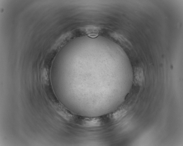 X0000062870667200601131443