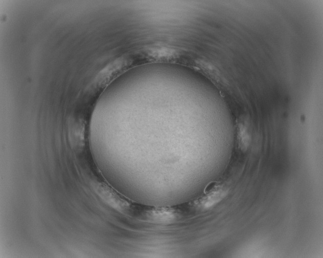 X0000062870668200601131443