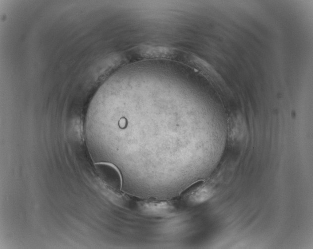 X0000062870669200601131443