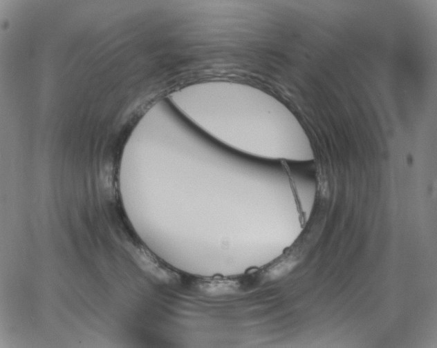 X0000062870670200601131443