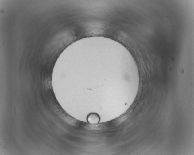 X0000062870672200601131443