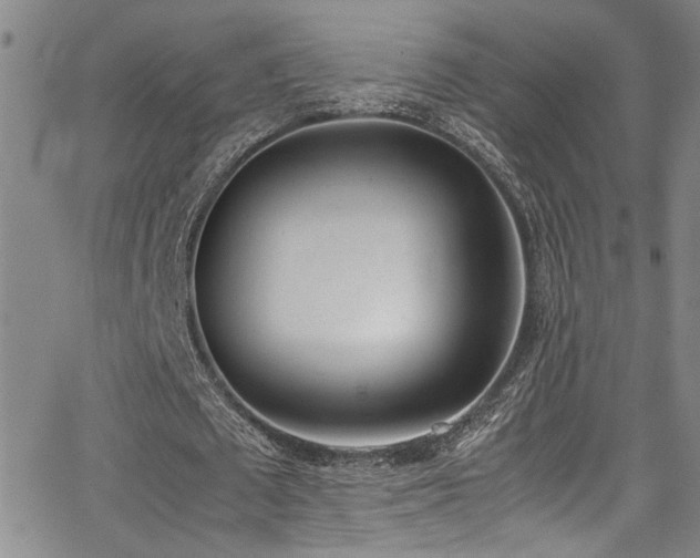 X0000062870673200601131442