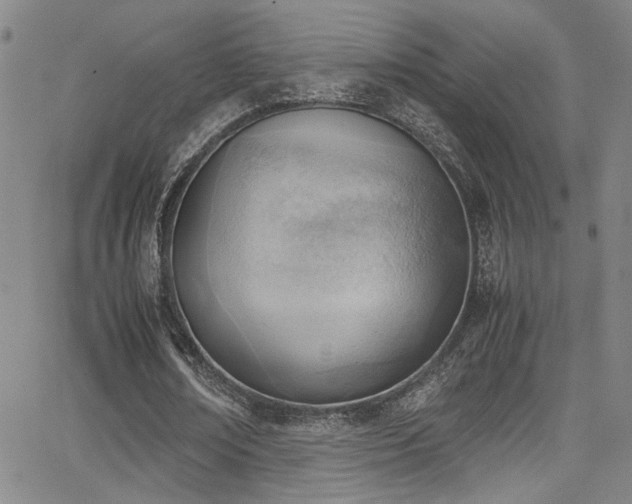 X0000062870674200601131442